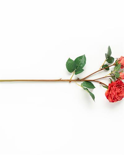 Autumn Rose Изкуствено Цвете Един Стрък 52 см Червен