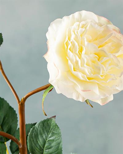 Autumn Rose Изкуствено Цвете Един Стрък 52 см Бял