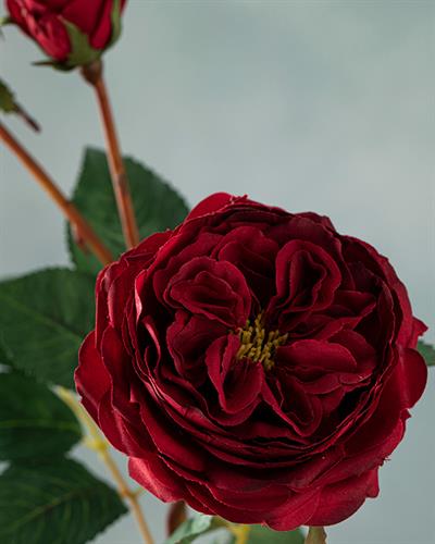 Autumn Rose Изкуствено Цвете Един Стрък 55 см Червен