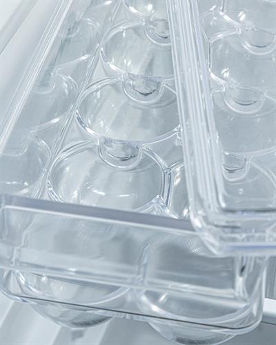 Basic Plastic 14 pcs egg holder Kitchen Organizer 36x10,5 cm Transparent