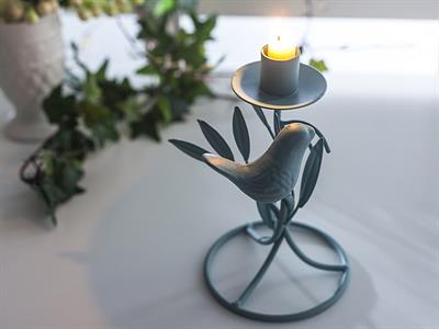 Bird СВЕЩНИК . .