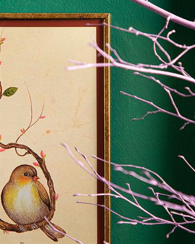 Bird Whisper Картина 18x23 см Златен