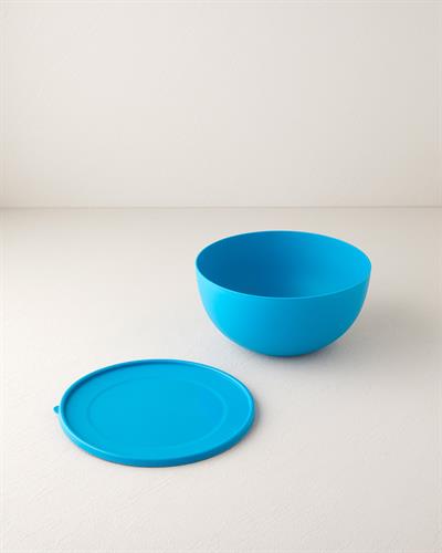 Blitz Кутия За Съхранение Пластмаса 4 литра Петроленосин