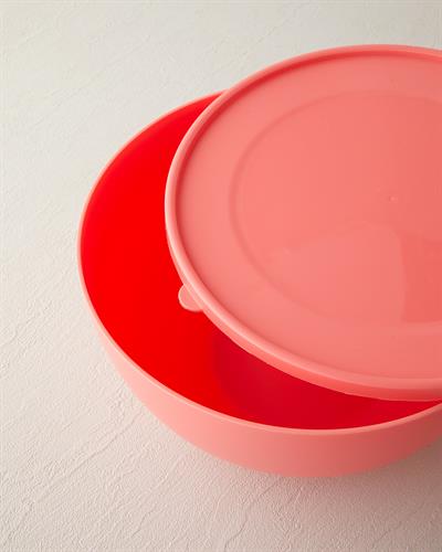 Blitz Кутия За Съхранение Пластмаса 4 литра Пепел от рози