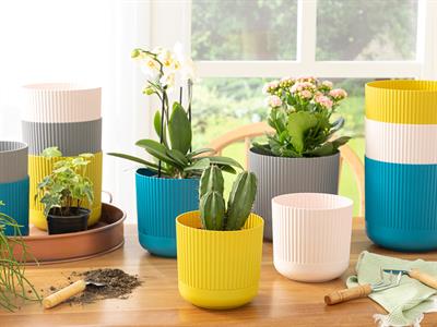 Bloom САКСИЯ Пластмасов 14x14x13 cm Olive Green