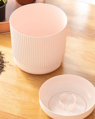 Bloom Саксия Пластмаса 18x18x16 см Пудра