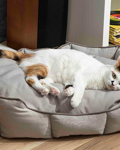 Bonny Pet Bed 40x60x17 cm Gray
