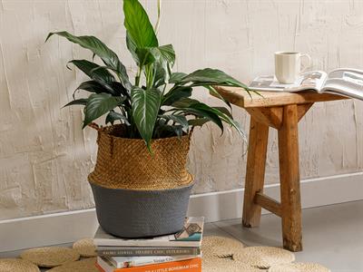 Bran Кошница Слама 25x32 см Бежов - Сив