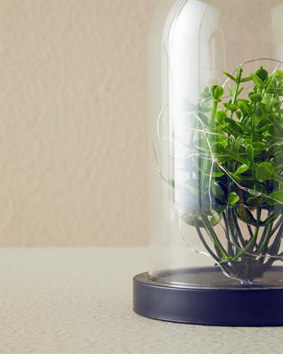 Branch Декоративно Осветление С Led 11x11x18 cm Прозрачен