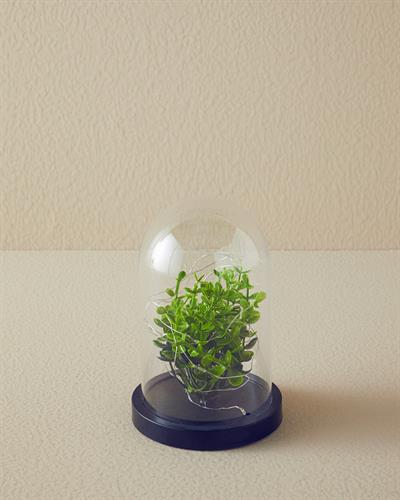 Branch Декоративно Осветление С Led 11x11x18 cm Прозрачен