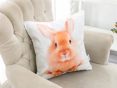 Görsel