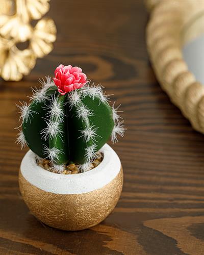 Cactus Изкуствено Цвете С Ваза 7x7x11 cm Зелен