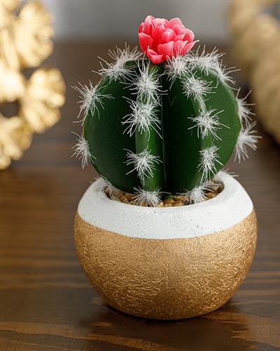 Cactus Изкуствено Цвете С Ваза 7x7x11 cm Зелен