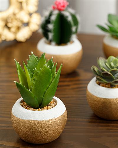 Cactus Изкуствено Цвете С Ваза 7x7x11 cm Зелен