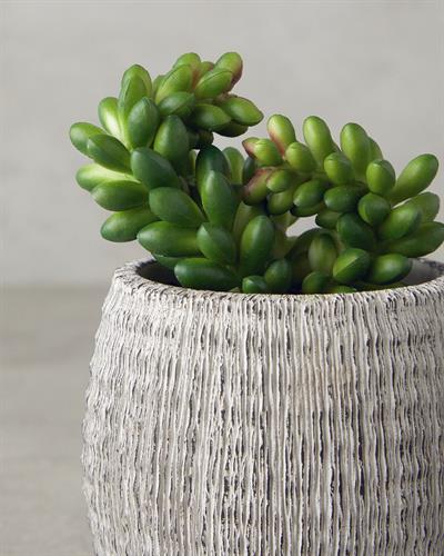 Cactus Love Изкуствено Цвете С Ваза Пластмаса 12,5 cm Зелен