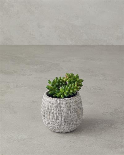 Cactus Love Изкуствено Цвете С Ваза Пластмаса 12,5 cm Зелен