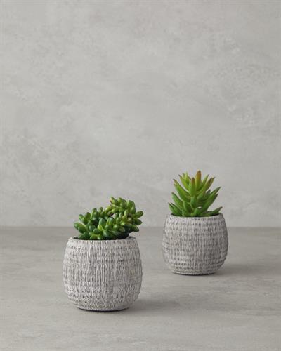 Cactus Love Изкуствено Цвете С Ваза Пластмаса 12,5 cm Зелен