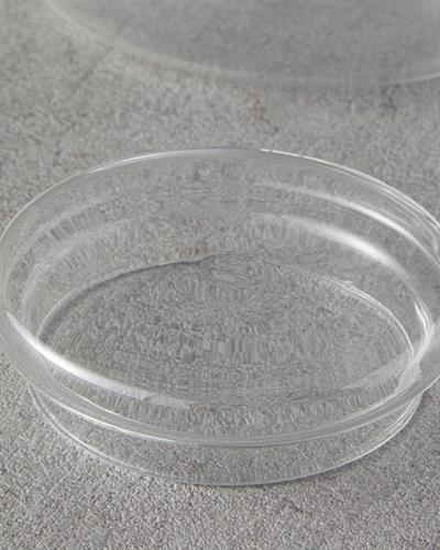 Canela Чайник С цедка Боросиликат 700 мл Прозрачен