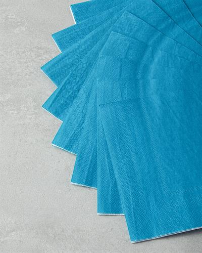 Carnival Paper 20 pcs Napkin 33x33 cm Blue
