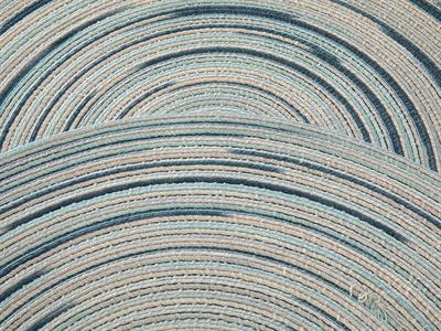 Carpe Diem АМЕРИКАНЗКИ СЕРВИЗ 2 комплекта Полиестер 38 cm Blue.