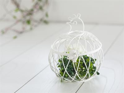 Chicken КОШНИЦА Ковано желязо White