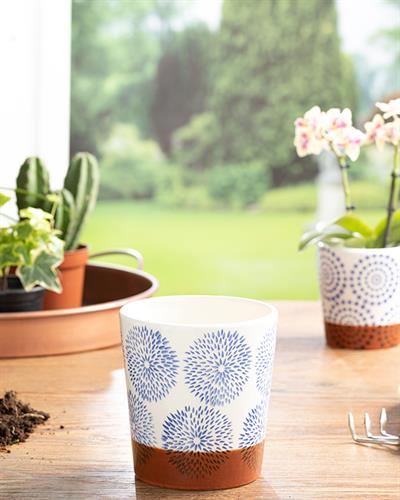 Cipso Rose Саксия 13.2x13.2x14 см Син