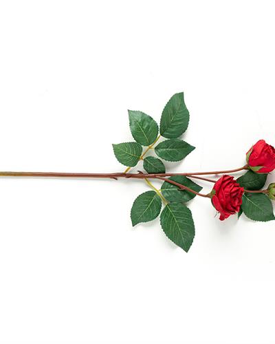 Classy Rose Изкуствено Цвете Един Стрък 50 см Червен