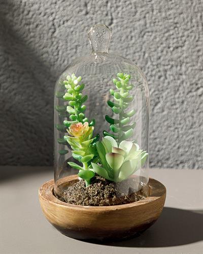 Crassula Life Изкуствено Цвете С Ваза Стъкло Пластмаса 10x10x17 см Зелен