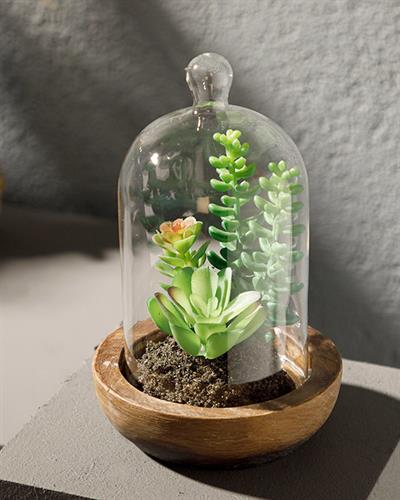 Crassula Life Изкуствено Цвете С Ваза Стъкло Пластмаса 10x10x17 см Зелен