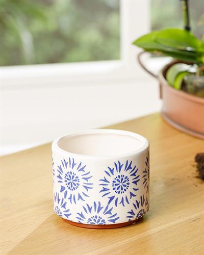 Creative Саксия 13x13x13 см Син