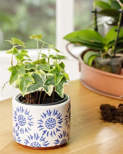 Creative Саксия 13x13x13 см Син