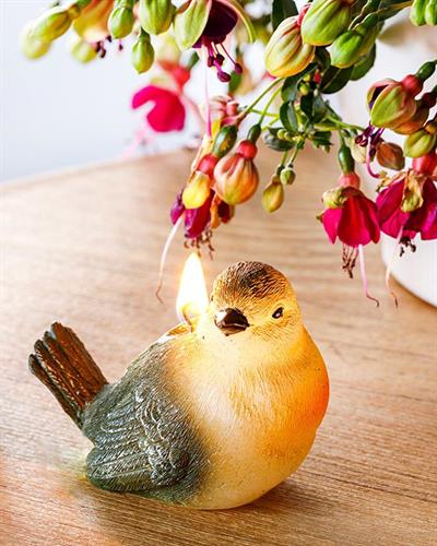 Görsel