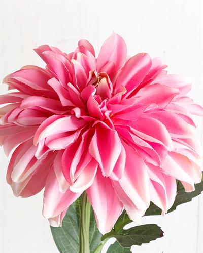 Dahlia Изкуствено Цвете 77 см Розов