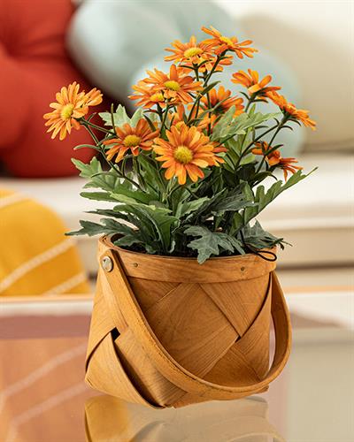 Daisy Изкуствено Цвете Във Ваза Оранжево,, 16 X 16 X 24 Cm