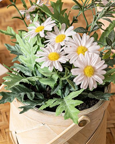 Daisy Изкуствено Цвете Във Ваза Бяло, 16 X 16 X 24 Cm