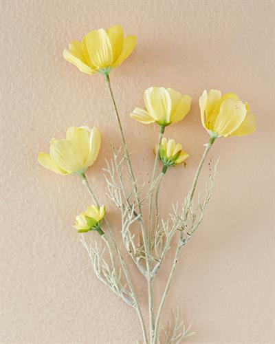 Daisy Една Клонка Изкуствено Цвете Жълто, 62 Cm