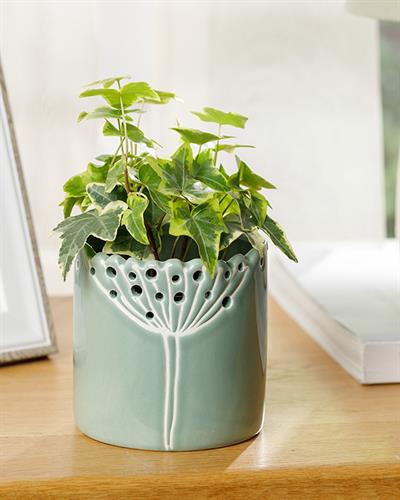 Dandelion Саксия 15.8x15.8x15.5 см Зелен