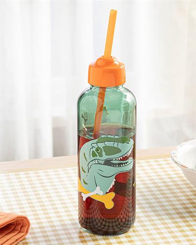 Dinosaurs World Детска Бутилка Със Сламка Стъкло, Зелено, 450 Ml