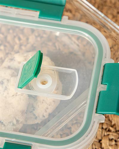 Doria Кутия За Съхранение Стъкло, Зелено, 550 Ml