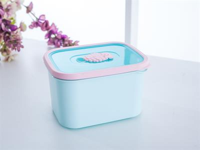 Drew КУТИЯ ЗА СЪХРАНЕНИЕ Пластмасов Mint