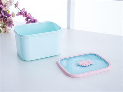 Drew КУТИЯ ЗА СЪХРАНЕНИЕ Пластмасов Mint