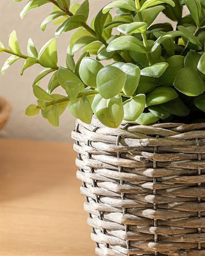 Duke Изкуствено Цвете Във Ваза Сиво, 30 X 25