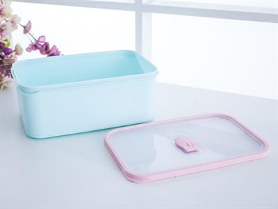 Edwin КУТИЯ ЗА СЪХРАНЕНИЕ Пластмасов 3,5L Mint