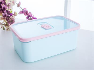 Edwin КУТИЯ ЗА СЪХРАНЕНИЕ Пластмасов 3,5L Mint