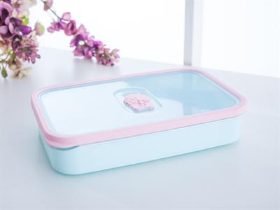 Edwin КУТИЯ ЗА СЪХРАНЕНИЕ Пластмасов Mint