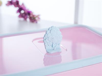 Edwin КУТИЯ ЗА СЪХРАНЕНИЕ Пластмасов Pink