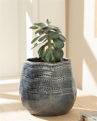 Erica Саксия Синьо, 16 X 16 X 14,7 Cm