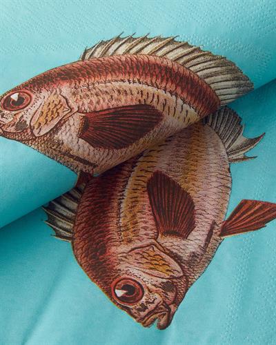 Finny Хартиени Салфетки 20 бр. Хартия 33x33 см Тюркоаз