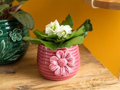 Flowertopia Саксия Фукция, 10,9 X 9,8 X 8,3 Cm