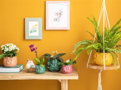 Flowertopia Саксия Жълто, 16,5 X 15,7 X 12,3 Cm